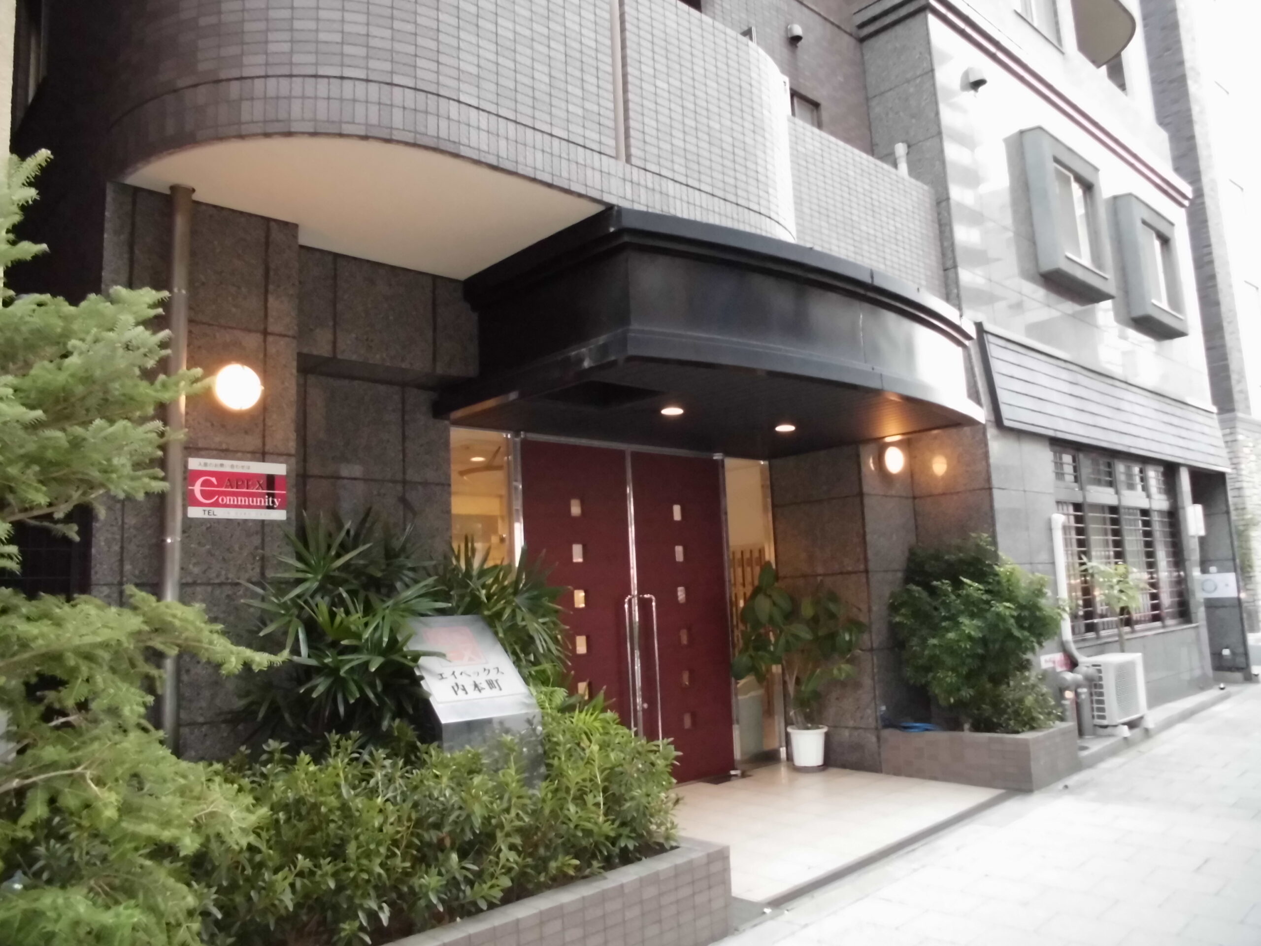 エイペックス_画像