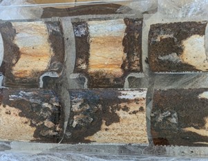 構造内部に設置されている排水管の一部